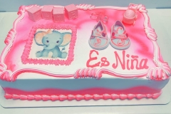 Pasteles-Baby-Shower-en-Aurora-Co-2