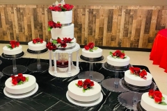 Wedding-Cakes-in-Aurora-CO-Pasteles-para-Boda-in-Aurora-CO-Pasteles-in-Aurora-CO-Cakes-in-Aurora-CO-Cakes-for-all-kind-of-Event-in-Aurora-CO-2