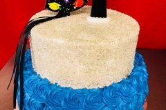 Graduation-Cakes-in-Aurora-CO-Pasteles-de-Graduacion-in-Aurora-CO-Cakes-in-Aurora-CO-11