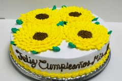 Mothers-Day-Cakes-in-Aurora-CO-Birthday-Cakes-in-Denver-CO-Spring-Fling-Cakes-in-Aurora-CO-XV-Years-Cakes-in-Aurora-CO-Cakes-in-Aurora-CO-Wedding-Cakes