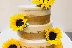 Regional-Cakes-in-Aurora-CO-Cakes-in-Aurora-CO-8