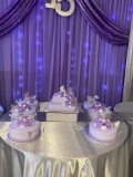 Pasteles-Cisne-Spring-Fling-Cakes-Pasteles-de-15-anos-2024-221