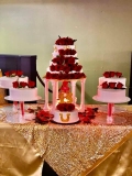 Pasteles-Cisne-Spring-Fling-Cakes-Pasteles-de-15-anos-2024-229