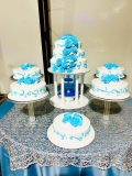 Pasteles-Cisne-Spring-Fling-Cakes-Pasteles-de-15-anos-2024-232
