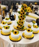 Pasteles-Cisne-Spring-Fling-Cakes-Pasteles-de-15-anos-2024-236