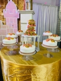 Pasteles-Cisne-Spring-Fling-Cakes-Pasteles-de-15-anos-2024-254