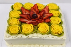 Pasteles-Cisne-in-Aurora-CO-18