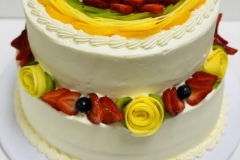 Pasteles-Cisne-in-Aurora-CO-66