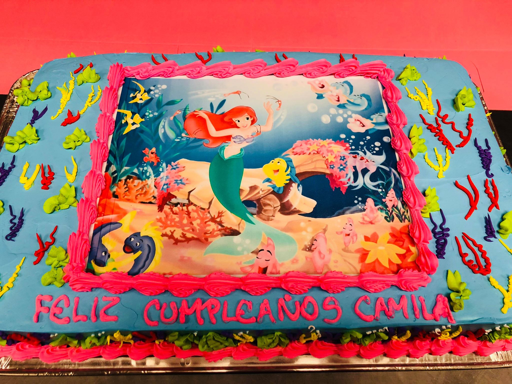 pastel cuadrado – Pasteles de bodas en Aurora, CO | Pastel de quince años  en Aurora, CO | Pasteles ambientados en Aurora, CO |Pasteles Cisne Cakes &  Pastries | Pasteleria en Aurora,