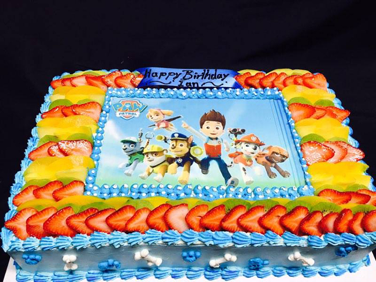 pastel cuadrado de paw patrol – Pasteles de bodas en Aurora, CO | Pastel de  quince años en Aurora, CO | Pasteles ambientados en Aurora, CO |Pasteles  Cisne Cakes & Pastries |