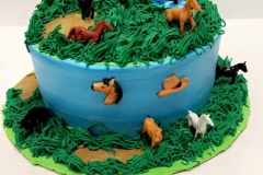 Pasteles-tematicos-en-Aurora-co-Themed-cakes-in-Aurora-co-8