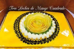 Tres leches (13)