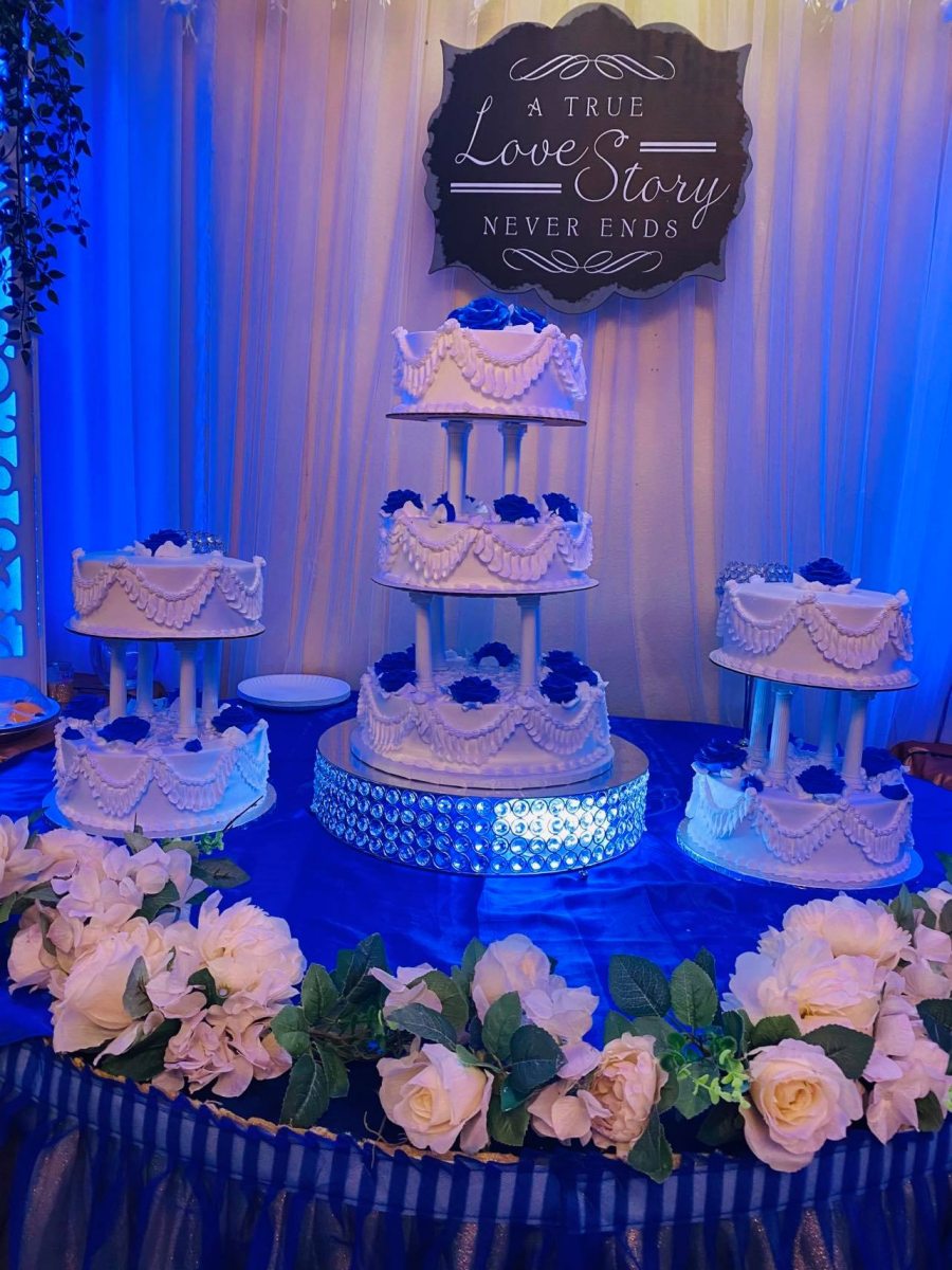 Boda-Pasteles-Cisne-in-Aurora-CO (1)