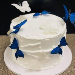 Especial para Mama-Pasteles-Cisne-in-Aurora-CO (111) Especial para Mama-Pasteles-Cisne-in-Aurora-CO (111)