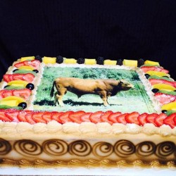 Especial para Papá-Pasteles-Cisne-in-Aurora-CO (99) Especial para Papá-Pasteles-Cisne-in-Aurora-CO (99)