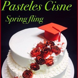 Pastel-Graduacion-Pasteles-Cisne-in-Aurora-CO (33) Pastel-Graduacion-Pasteles-Cisne-in-Aurora-CO (33)