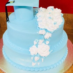 Pastel-Graduacion-Pasteles-Cisne-in-Aurora-CO (42) Pastel-Graduacion-Pasteles-Cisne-in-Aurora-CO (42)