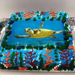 Pastel-Tematicos-Tortuga-Mar-Pasteles-Cisne-in-Aurora-CO (20) Pastel-Tematicos-Tortuga-Mar-Pasteles-Cisne-in-Aurora-CO (20)